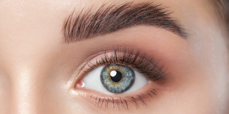 Eyebrow Waxing in Hickory, North Carolina